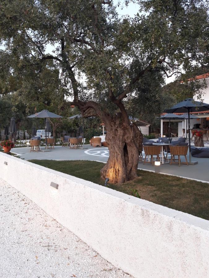 Hotel Orama Thassos à Skala Sotiros Extérieur photo